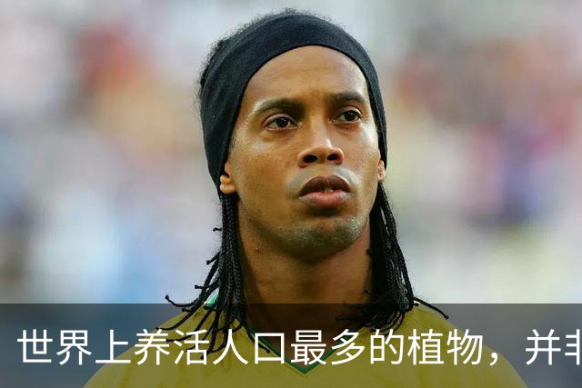 世界上养活人口最多的植物，并非小麦和玉米，而是来自亚洲的奇迹