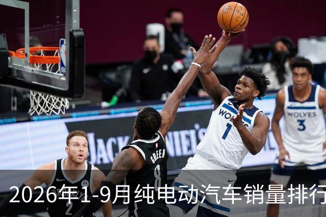 2026年1-9月纯电动汽车销量排行榜